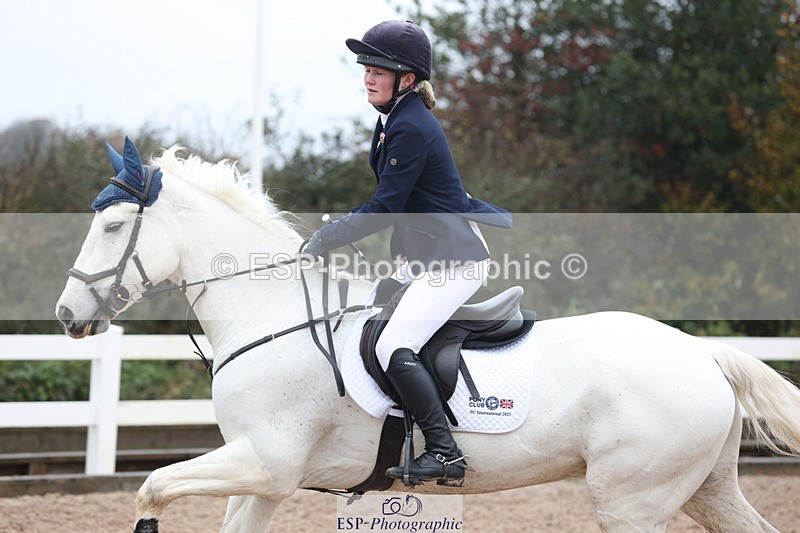 231112A-093145-02950 - Cls 17 Blue Chip Novice Winter Qualifier