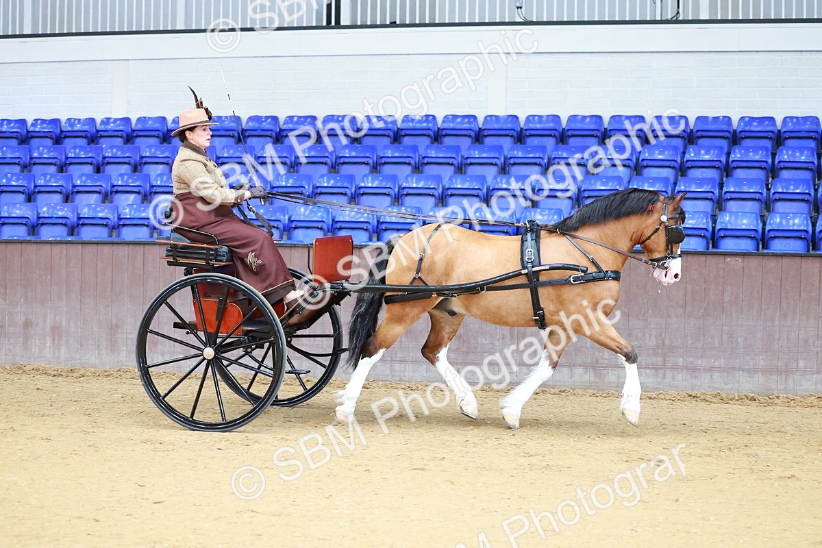 SBM_000109 - Class 3 - Alison Thomas Memorial Lady Whip