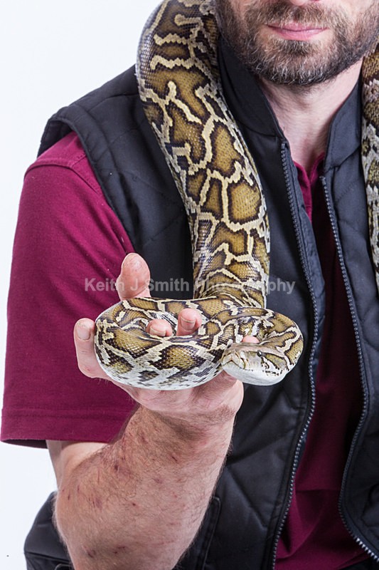 1KJS0245 - Roaming Reptile Show