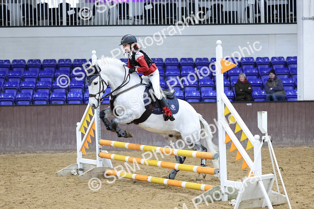 SBM_001199 - Class 3 - Christmas Tree Stakes - 60cm