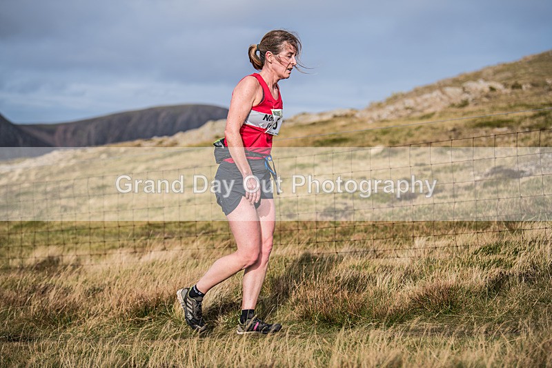 Buttermere-410 - Buttermere Shepherds Meet Fell Race Sunday 27th October 2024