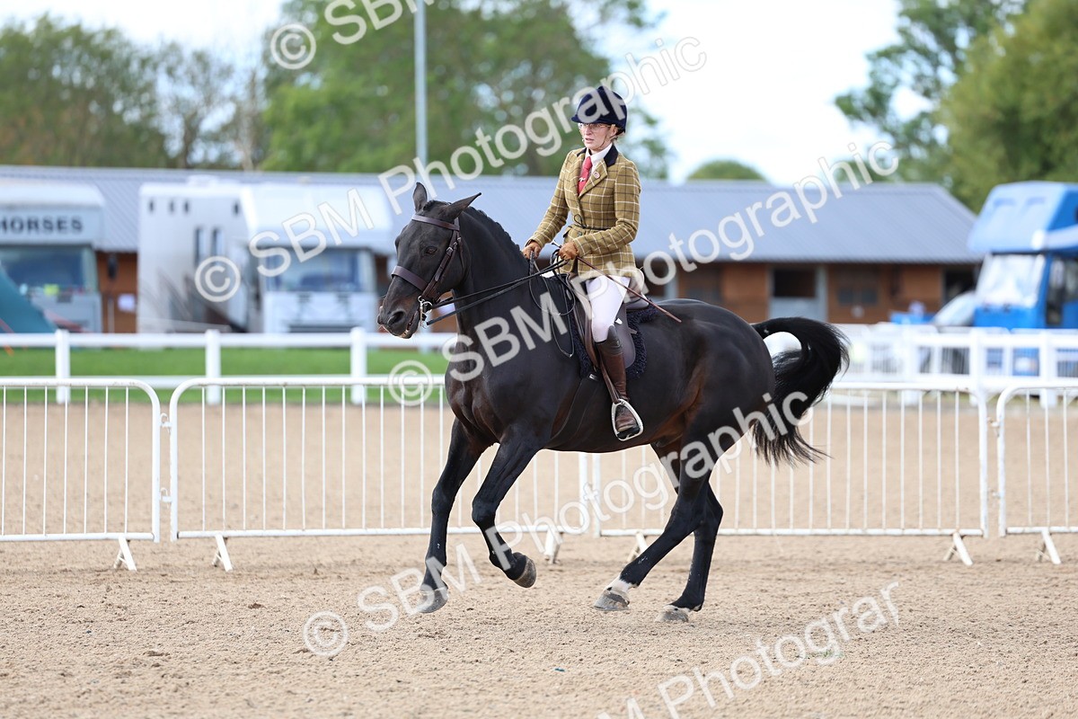 SBM_10081 - Class 304 - Ridden Part Bred Horse Pony