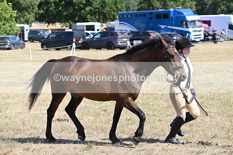 WJ6_9130 - Championship Classes 33-38