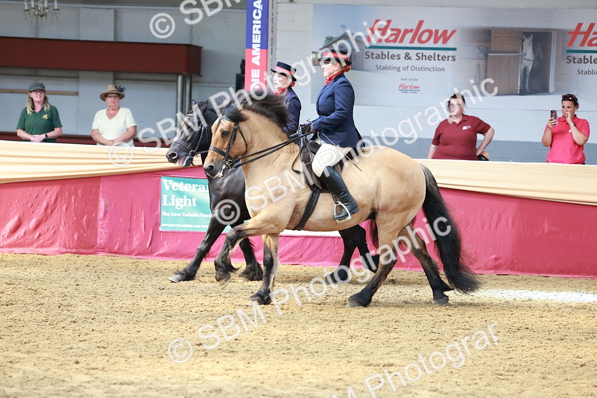 SBM_15534 - Class 109 - Ridden Pairs -Section A