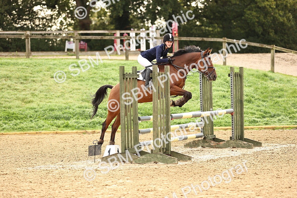 SBM_58186 - J41 - Grand Tour Horse & Pony 95cm