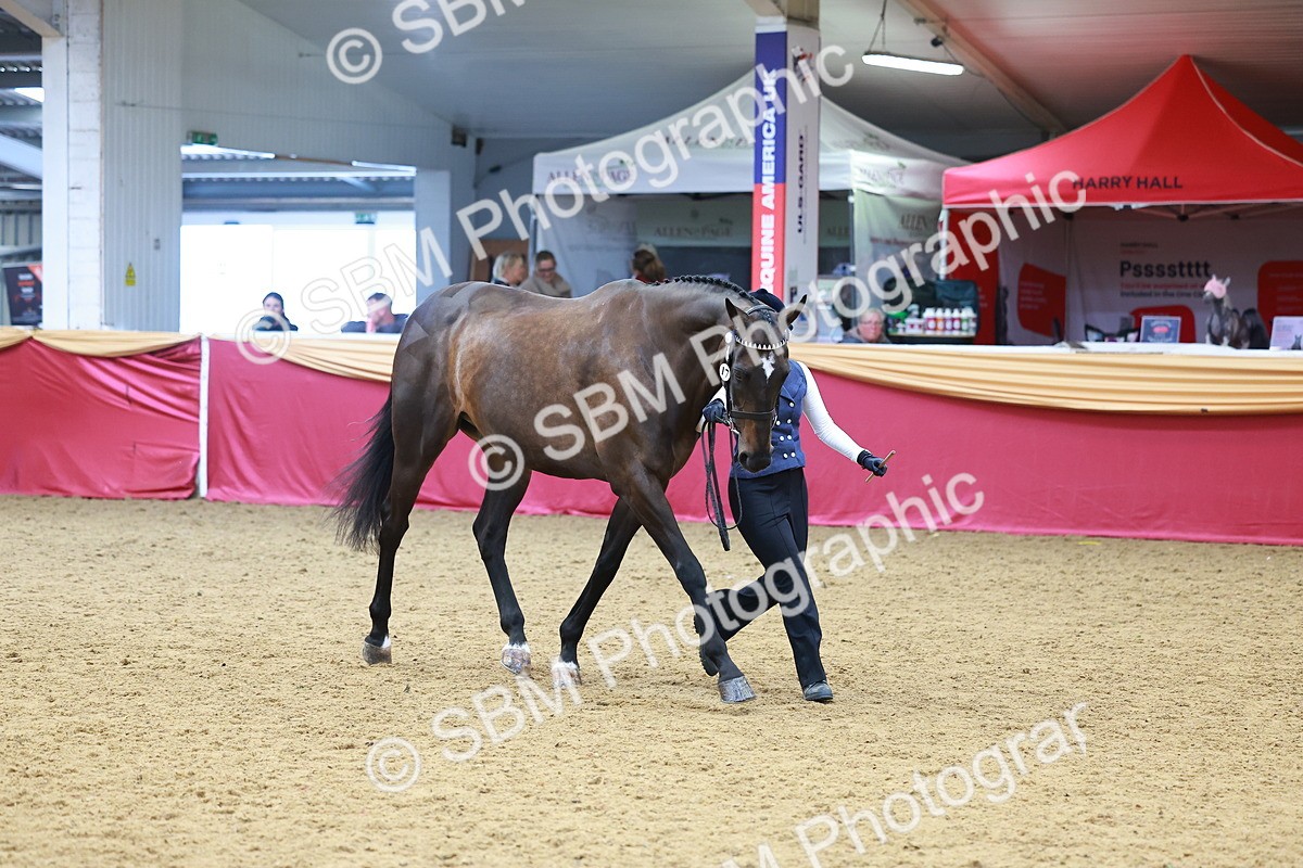 SBM_04216 - Class 9R - IH Pre-Vet