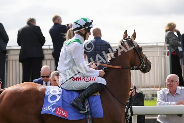 yr18082021r3-36 - Race 3 3.00pm Sky Bet Great Voltigeur Stakes