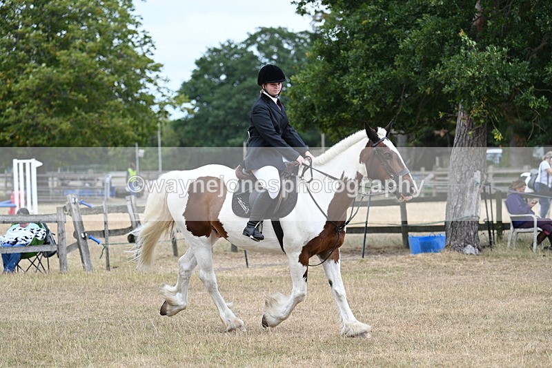 WJ7_1360 - Class 8 Ridden Veterans