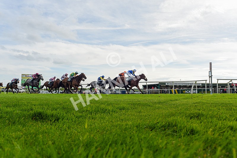 130524-Race 7-Hail Sezer-9579 - Race 7