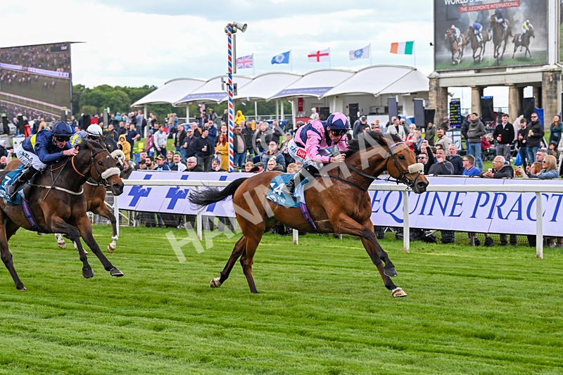 150526-Race 1-Zarathos-6914 - Race 1 1.45pm Yorkshire Equine Practice Handicap