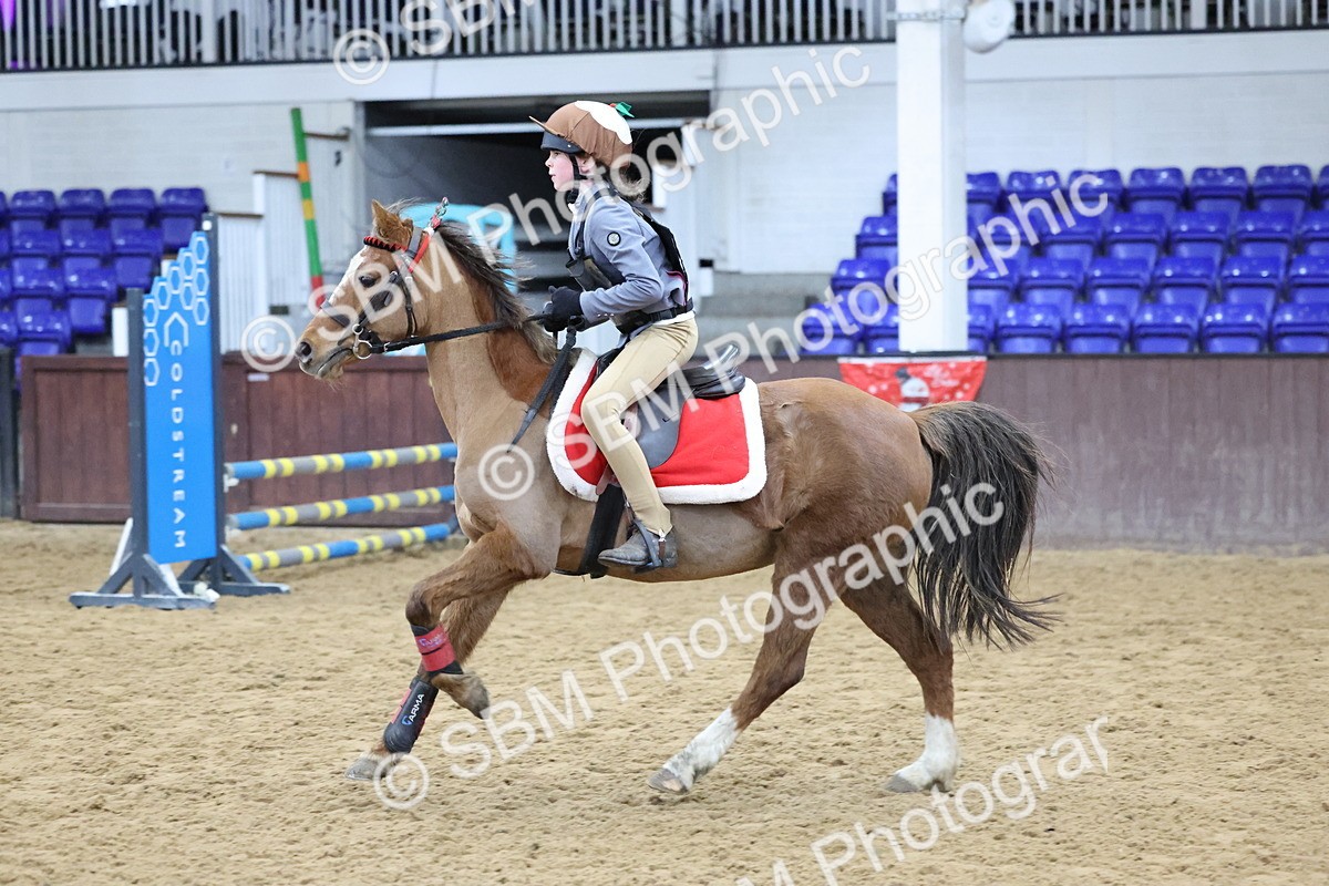 SBM_001102 - Class 3 - Christmas Tree Stakes - 60cm