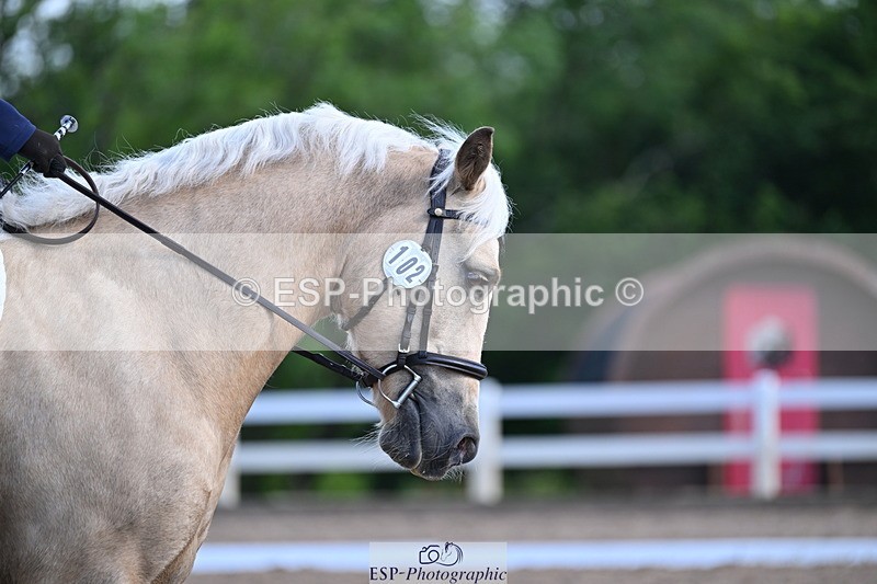 240622A-082739-06559 - Cls 25 BD Music Prelim