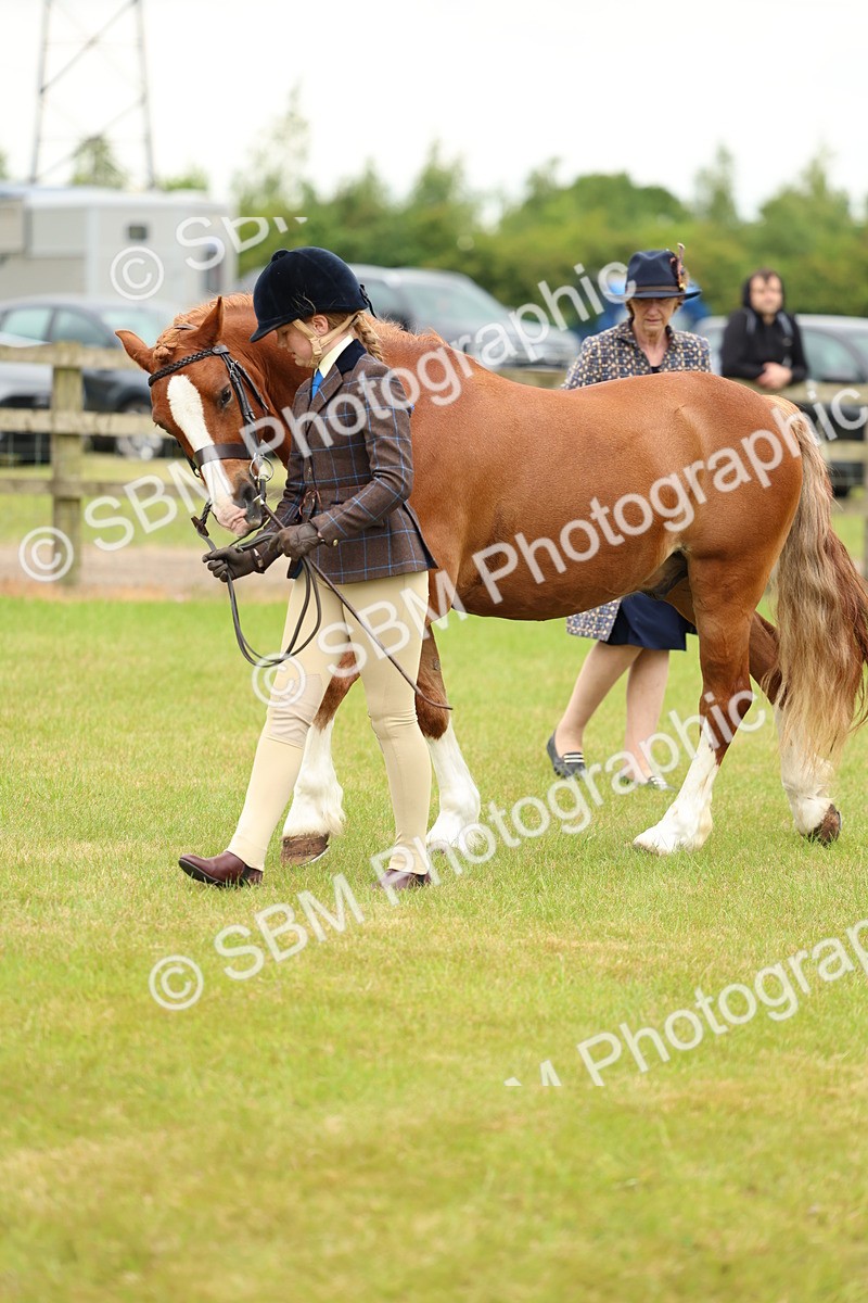 SBM_10368 - Class 44-45 - LIHS BSPS Open Nursery and Cradle Stakes