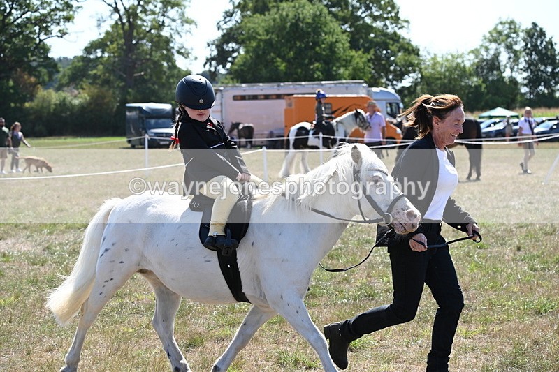 WJ6_7893 - Class 36 Lead Rein