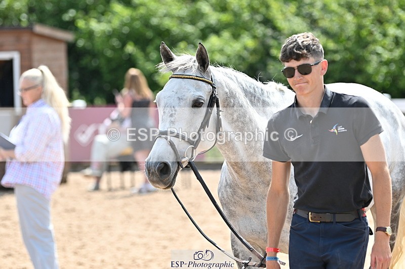 240717A-151531-02691 - Trot Up 3pm to 4pm