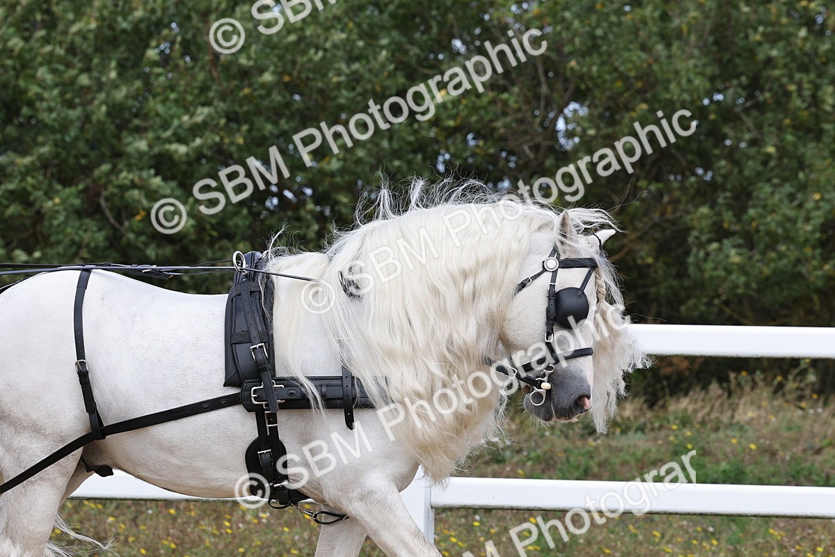SBM_001138 - Class 16 - Pairs ,Multiples and Tandems
