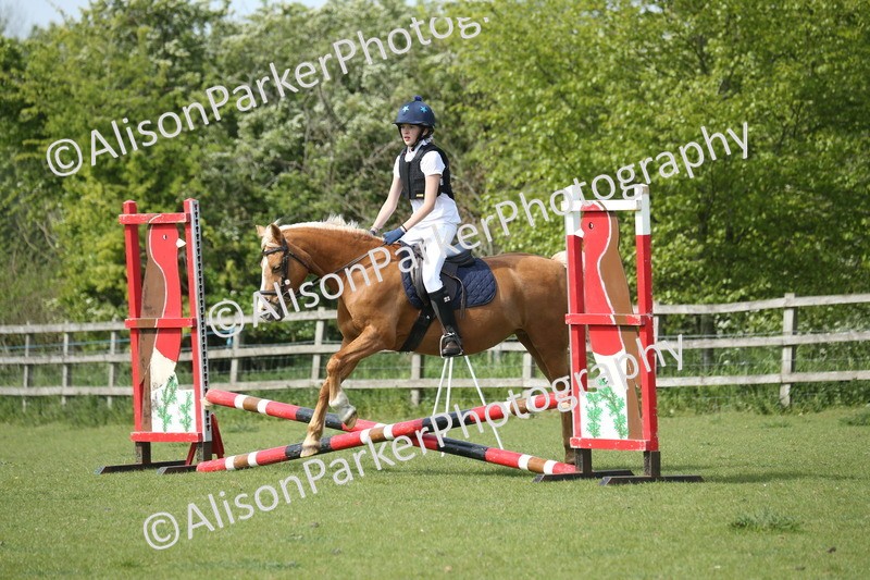 20260426-1603 - Class 14 - Novice 60cm