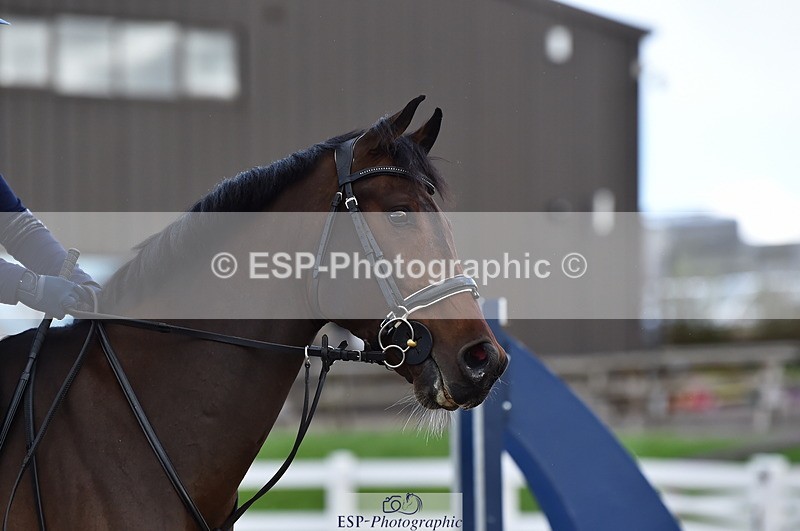 231014A-122322-04852 - Cls 14 95cm Grand Prix