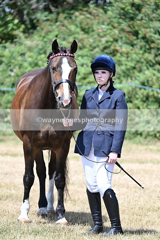 WJ7_2404 - Class 5a Most Handsome Gelding in hand (above 14.2hh)