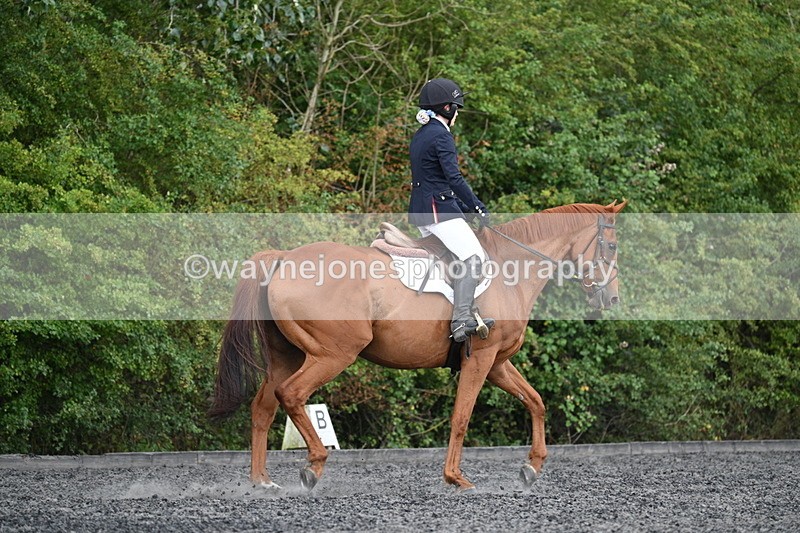 WJ7_7855 - Time 13:40 to 14:00