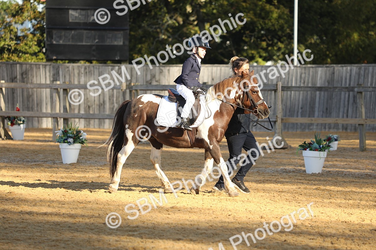 SBM_33696 - D26 - Starers - Lead Rein