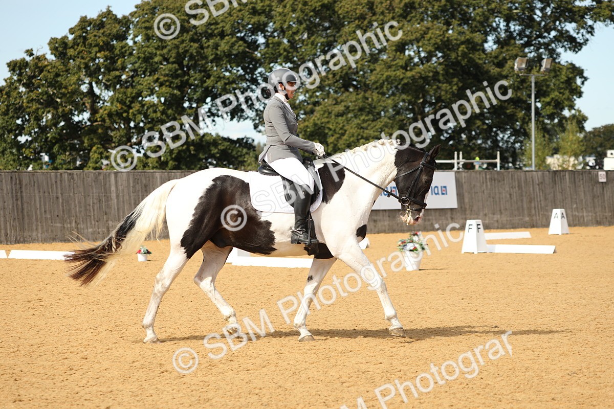 SBM_22245 - D17 - Grand Tour Championship - Novice 27