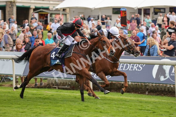 yr23072021r4-26 - Race 4 7.30pm British Stallion Studs EBF Lyric Fillies' Stakes