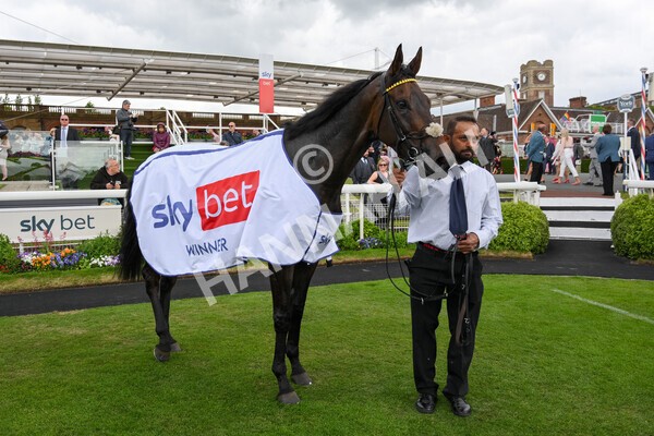 yr11062022r4-41 - Race 4 3.05pm Sky Bet Grand Cup
