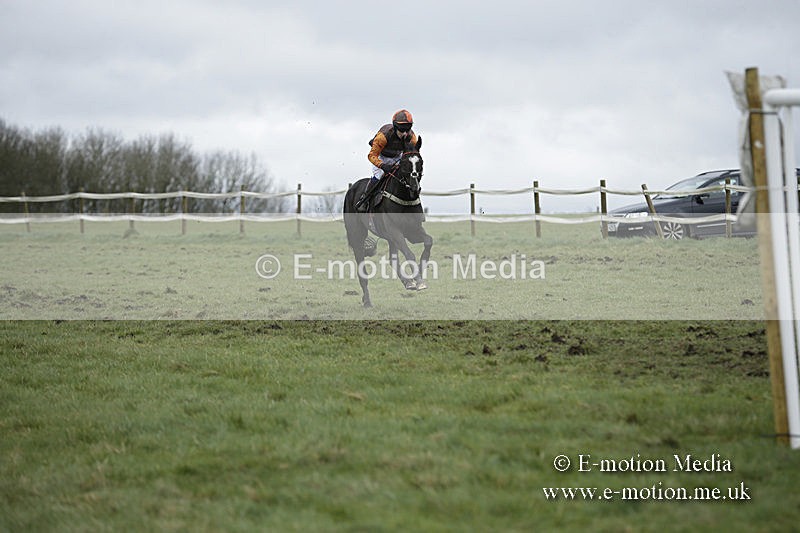 PtP 150320 0513 - New Forest Point-to-Point Larkhill 15/03/20