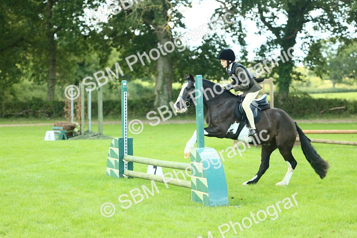 SBM_42025 - S29 - Novice & Newcomers Working Hunter Pony