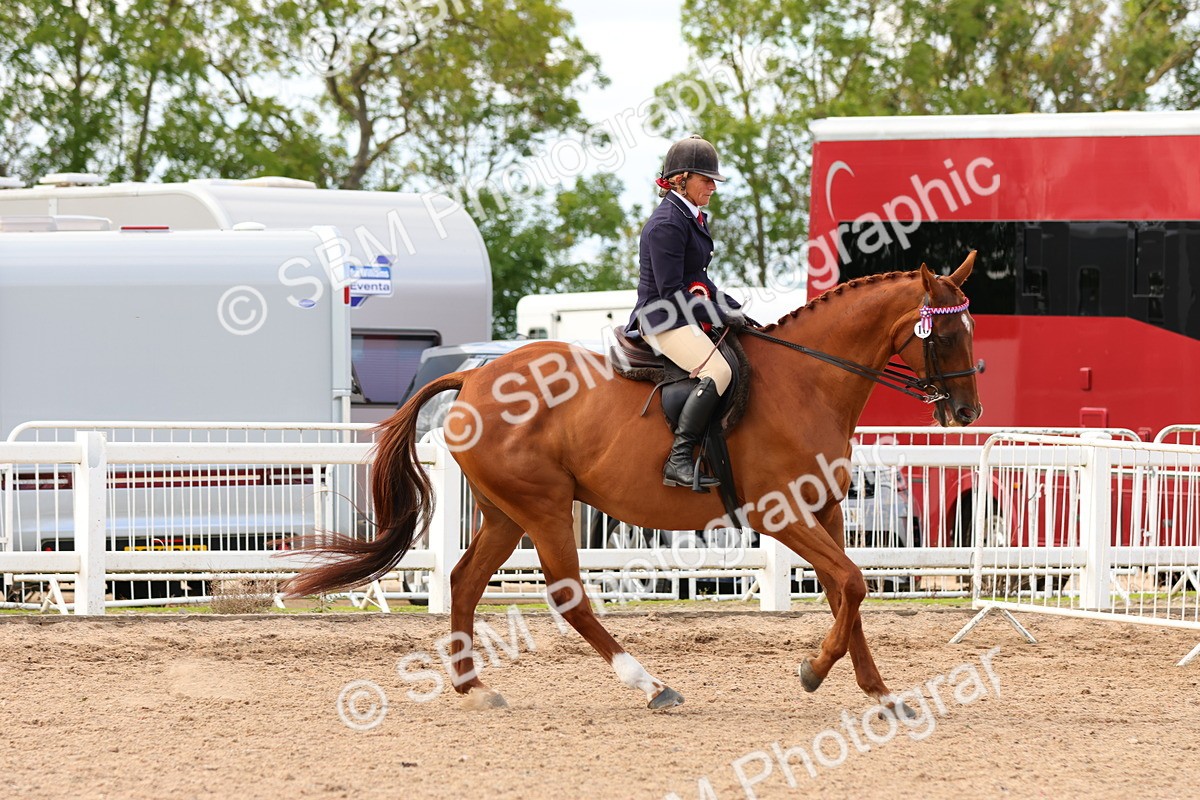 SBM_16307 - Class 217 - Ridden Retired Racehorse