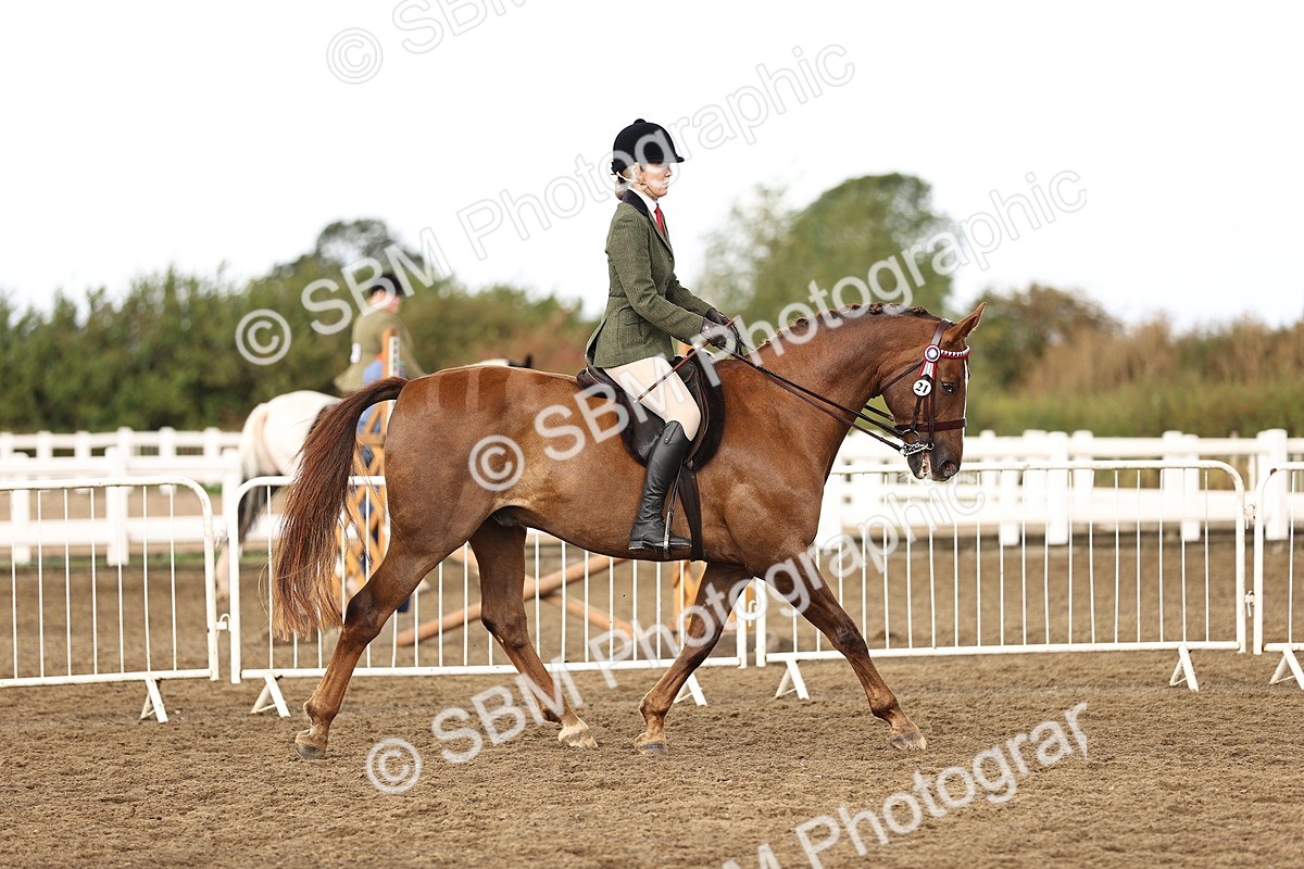 SBM_00674 - Class 53 - Ridden Competition Horse Pony