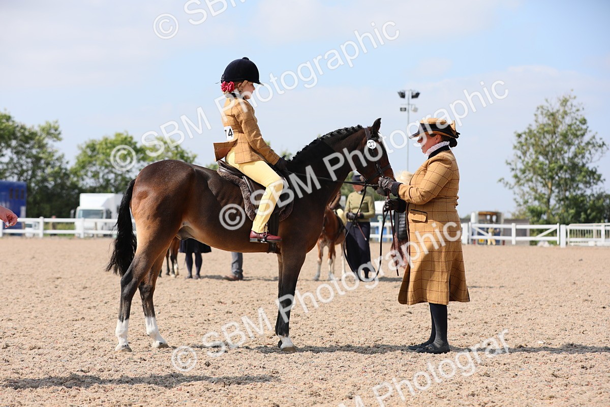 SBM_14034 - Class 309 Lead Rein Pony
