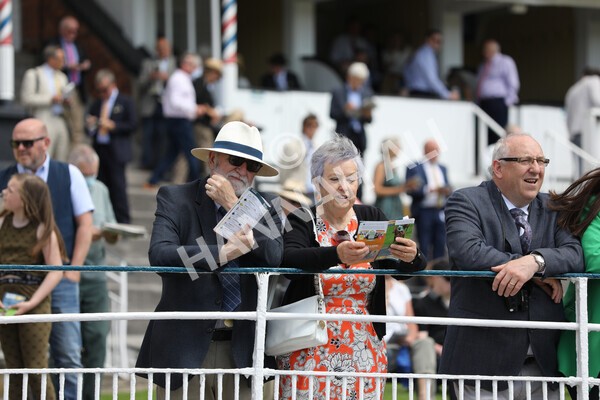 yr12062021r2-33 - Race 2 2.35pm The JCB Stakes