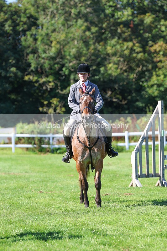 3E7A7806 - Class 2: Open Working Hunter pony