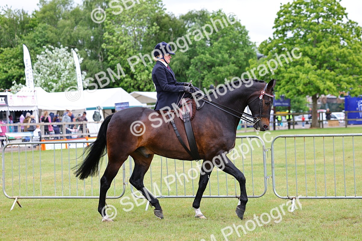 SBM_02904 - Class 9-11 Side Saddle including LIHS Rising Star Ladies Show Horse