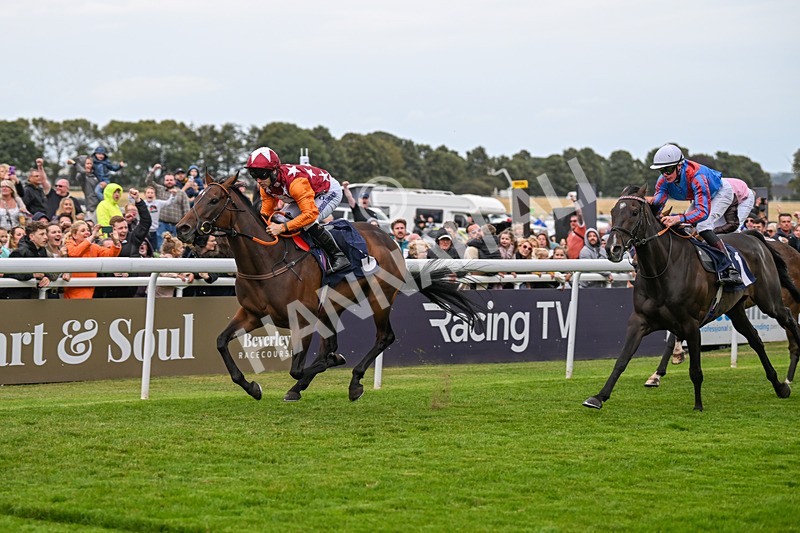 250824-Race 5-Lincoln Rockstar-3682 - Race 5