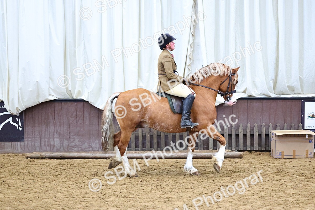 SBM_005134 - Class 41 - Not exceeding 143cms