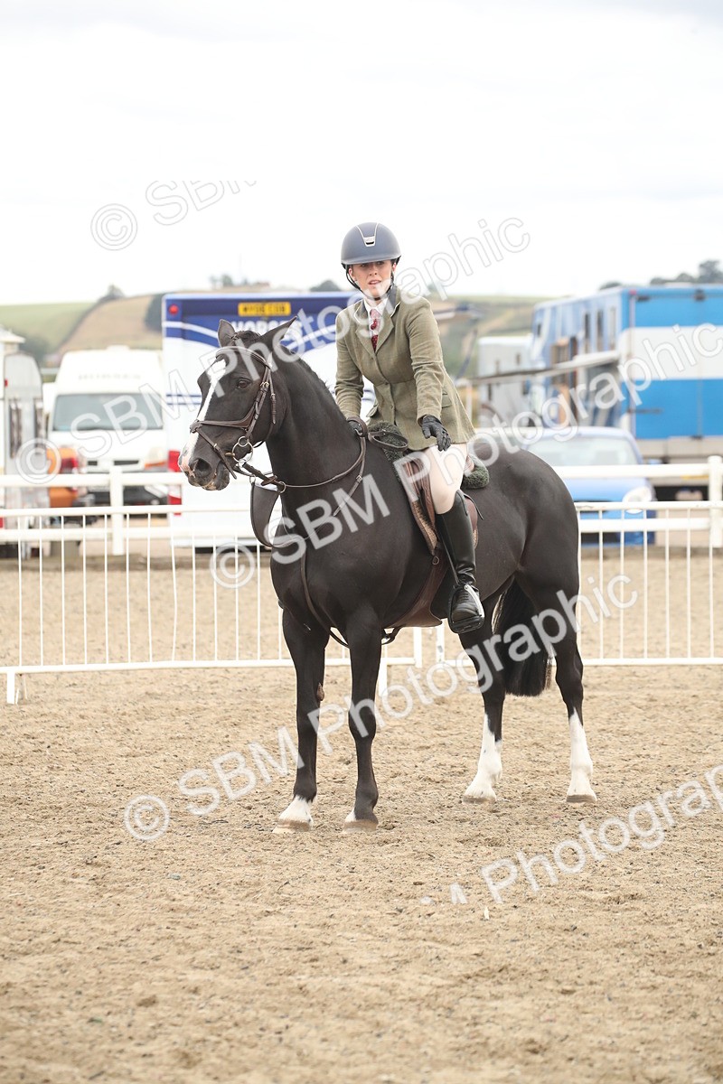 SBM_18302 - Class 509a - Working Veteran - 80cm (15-19)