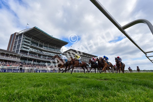 150525-Old Cock-2335 - Race 2 2.42pm Oakmere Homes Hambleton Handicap