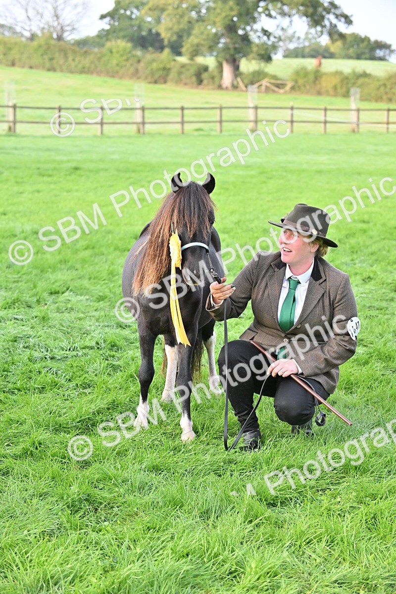 SBM_55392 - S44 - Youngstock In Hand