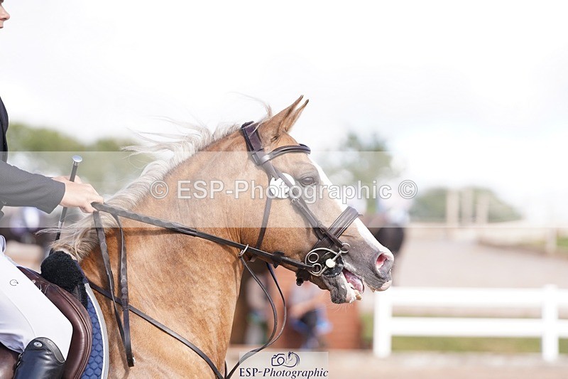 250627-172702-00267 - Cls 3 Pony Intor 90cm