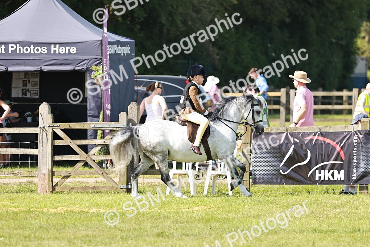 SBM_12719 - Class 106-107 - BSPS LIHS Working Sports Pony