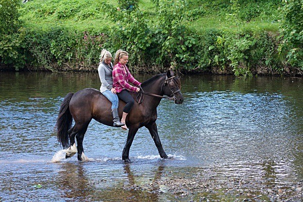  - Appleby Horse Fair