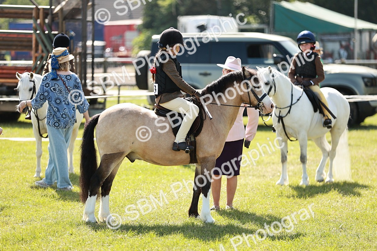SBM_12689 - Class 106-107 - BSPS LIHS Working Sports Pony