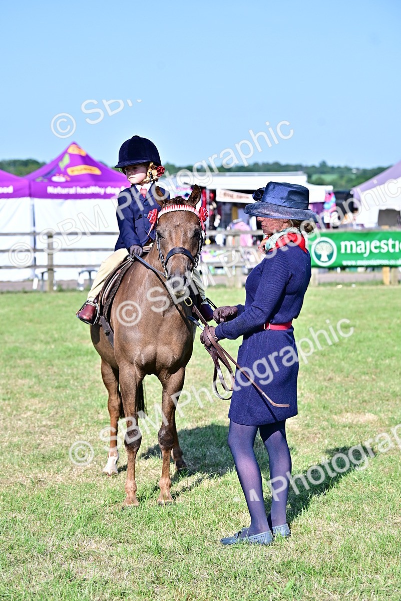 SBM_19828 - Class 103 - 105 - TSR Ridden Amateur of the Year Plaited Ponies
