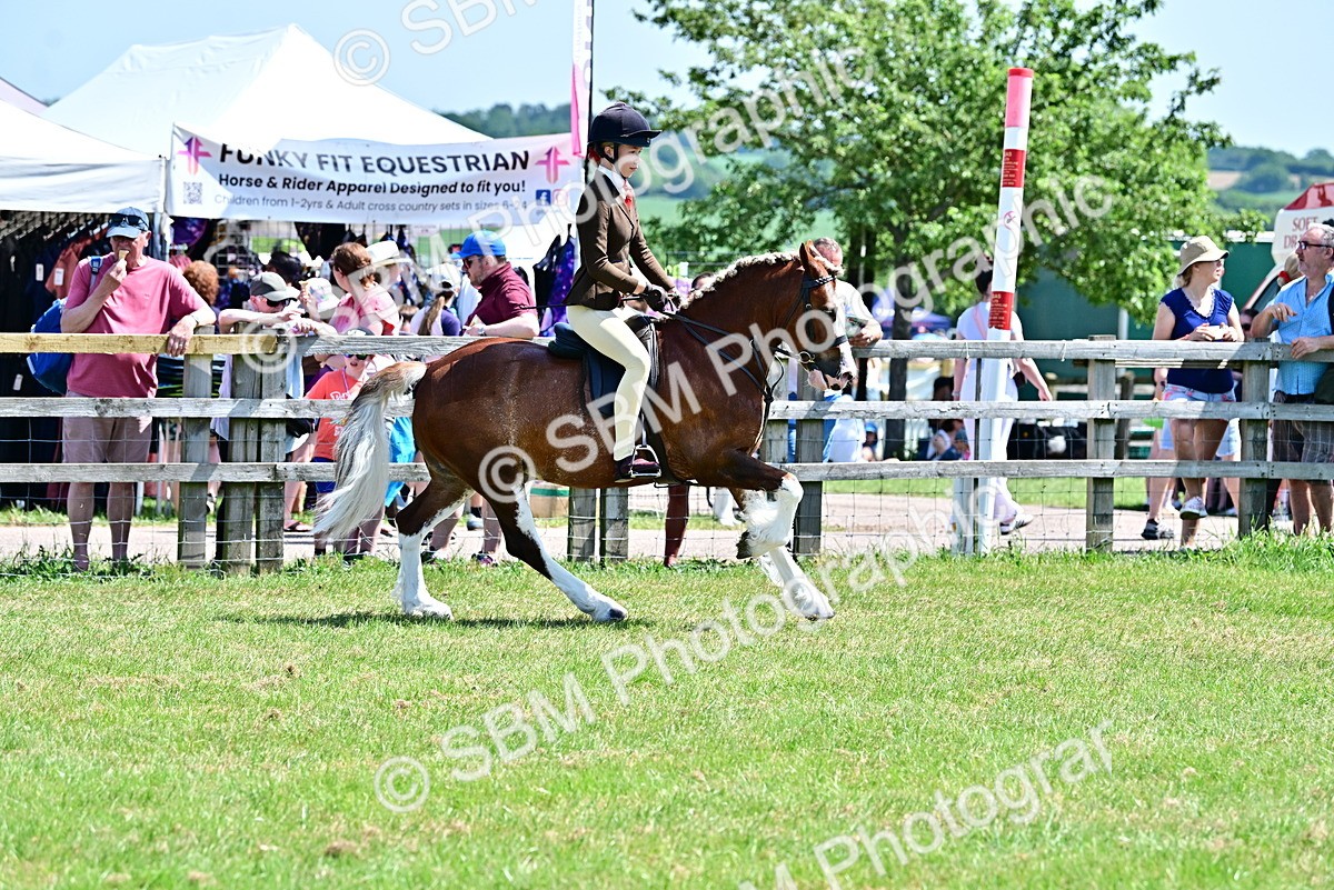 SBM_15291 - Class 95-97 - BSPS LHS Performance Ponies