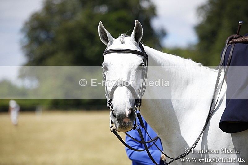 _C7A0255 - Side Saddle Classes BVRC Show 2018