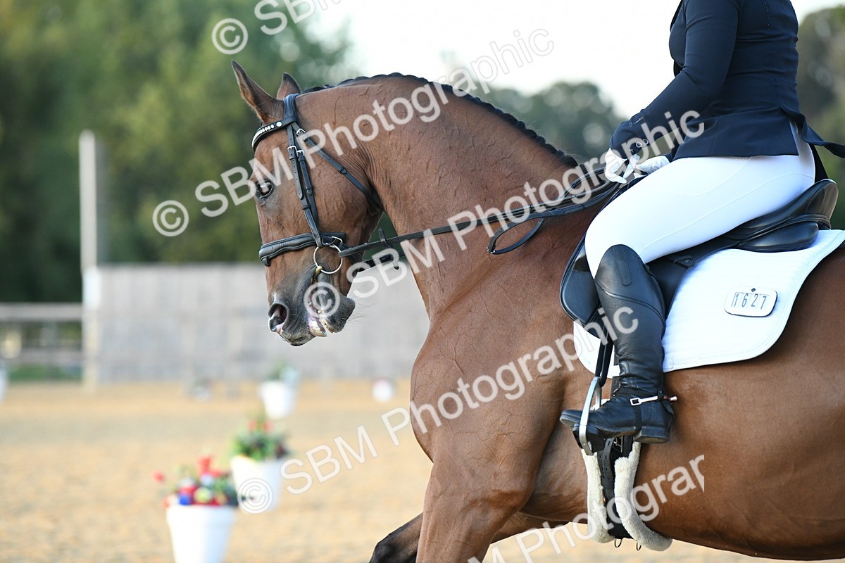 SBM_31083 - D16 - Small Tour Championship - Novice 28