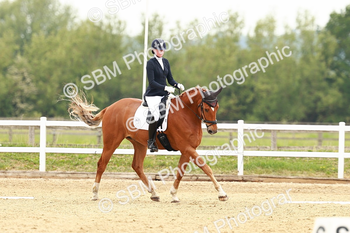 SBM_001232 - Class 6 - Novice 4